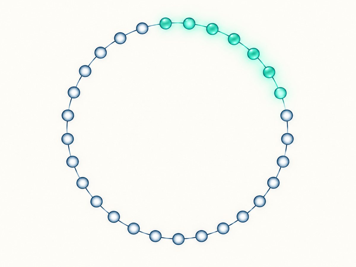 Illustration : cycle schématique avec une période mise en évidence